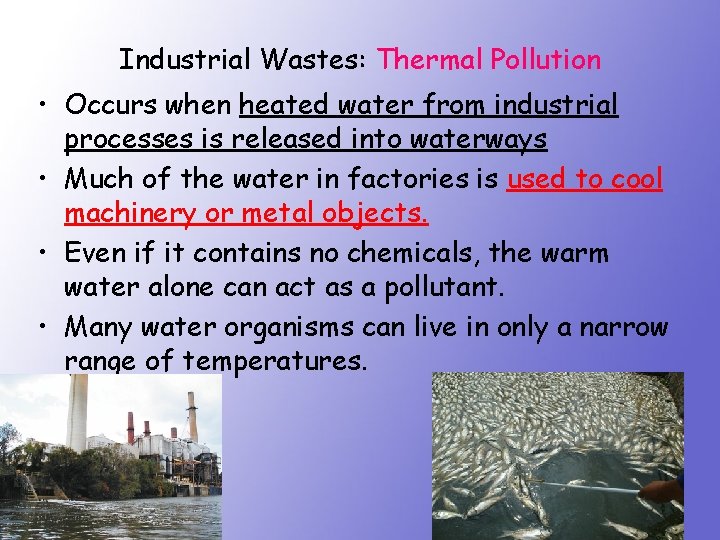 Industrial Wastes: Thermal Pollution • Occurs when heated water from industrial processes is released