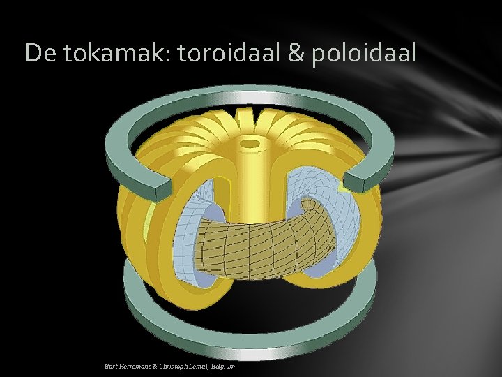 De tokamak: toroidaal & poloidaal Bart Herremans & Christoph Lemal, Belgium 