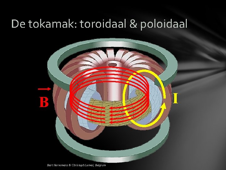 De tokamak: toroidaal & poloidaal B Bart Herremans & Christoph Lemal, Belgium I 