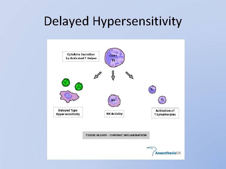 Delayed Hypersensitivity 