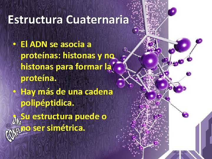 Estructura Cuaternaria • El ADN se asocia a proteínas: histonas y no histonas para