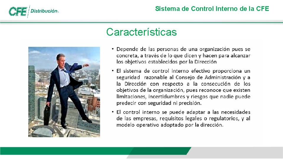 Sistema de Control Interno de la CFE Características 