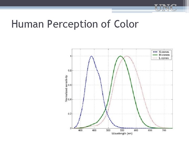 Human Perception of Color 