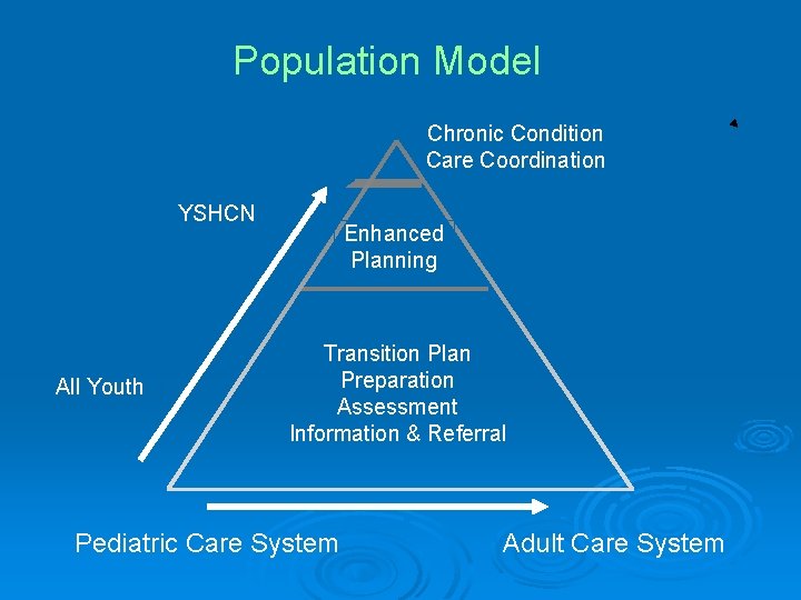 Population Model Chronic Condition Care Coordination YSHCN All Youth Enhanced Planning Transition Plan Preparation