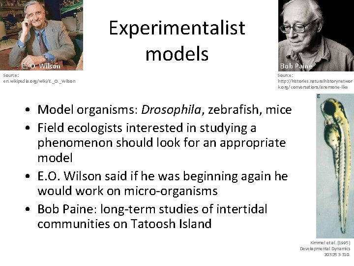 E. O. Wilson Source: en. wikipedia. org/wiki/E. _O. _Wilson Experimentalist models Bob Paine Source: