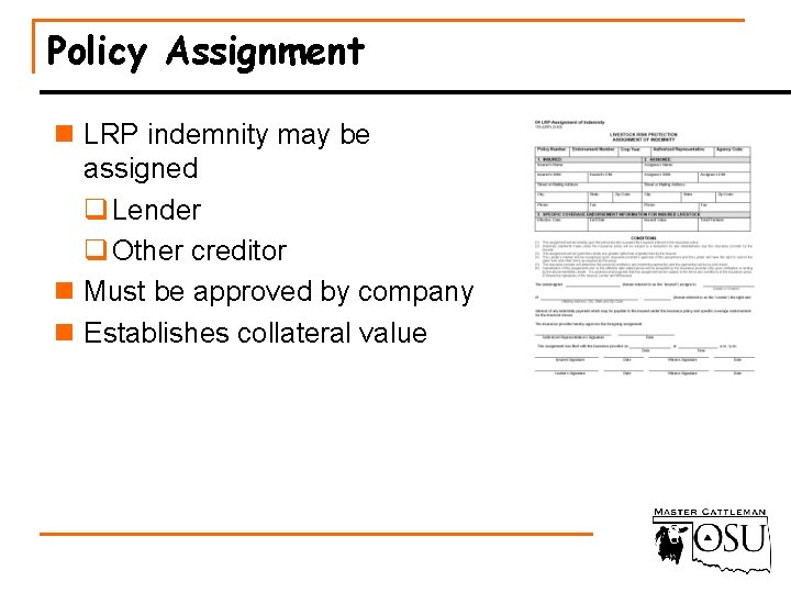 Policy Assignment n LRP indemnity may be assigned q Lender q Other creditor n