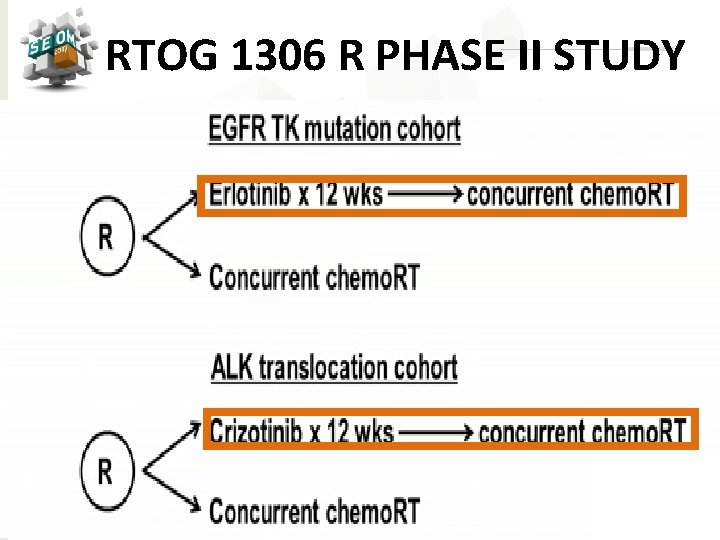 RTOG 1306 R PHASE II STUDY #SEOM 2017 