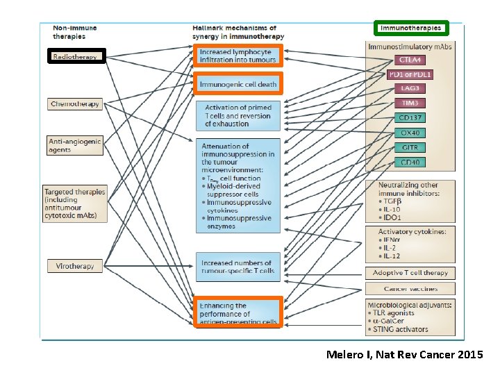Melero I, Nat Rev Cancer 2015 