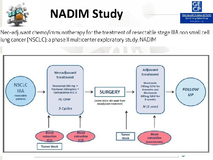 NADIM Study #SEOM 2017 