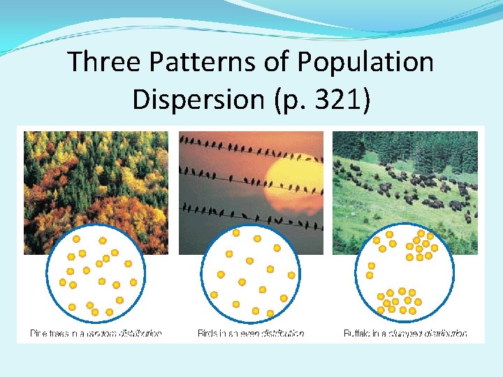 Three Patterns of Population Dispersion (p. 321) 