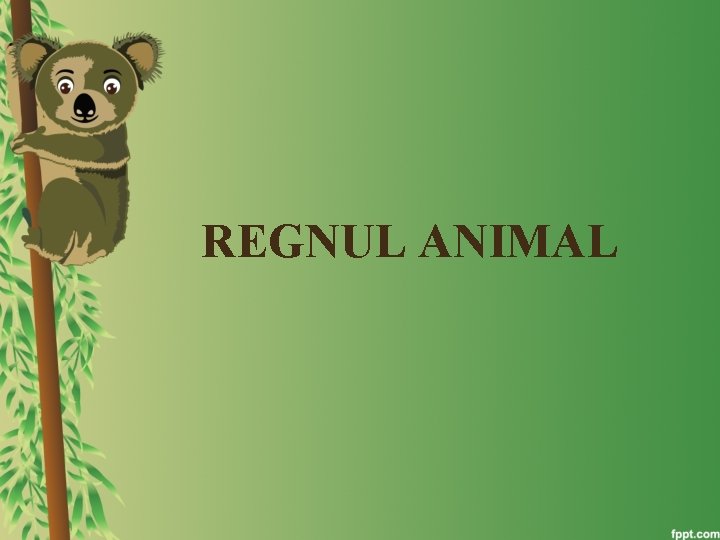 REGNUL ANIMAL 