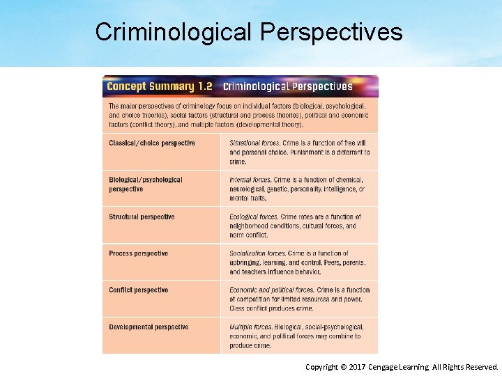 Criminological Perspectives Copyright © 2017 Cengage Learning. All Rights Reserved. 