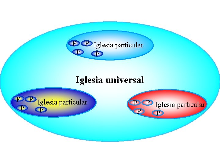 P P Iglesia particular P P Iglesia universal P P Iglesia particular P P