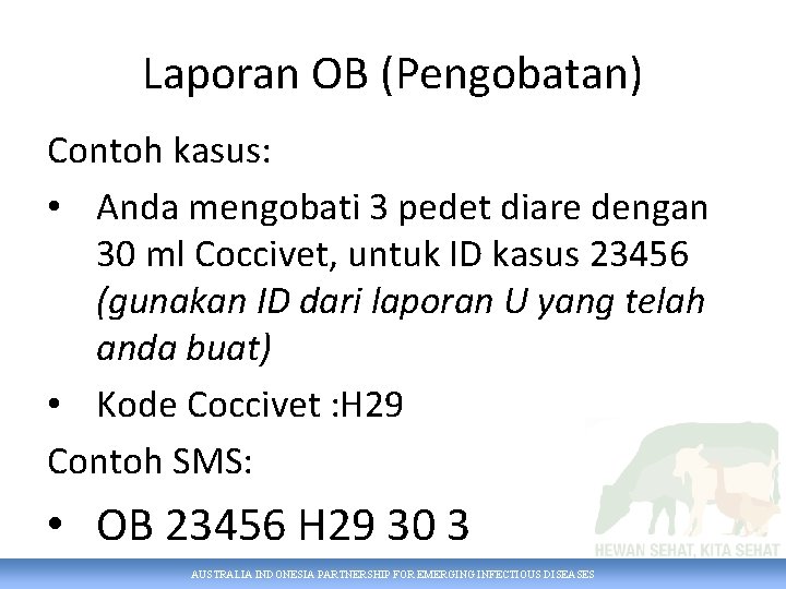 Laporan OB (Pengobatan) Contoh kasus: • Anda mengobati 3 pedet diare dengan 30 ml