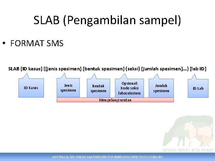 SLAB (Pengambilan sampel) • FORMAT SMS SLAB [ID kasus] ([jenis spesimen] [bentuk spesimen] {seksi}