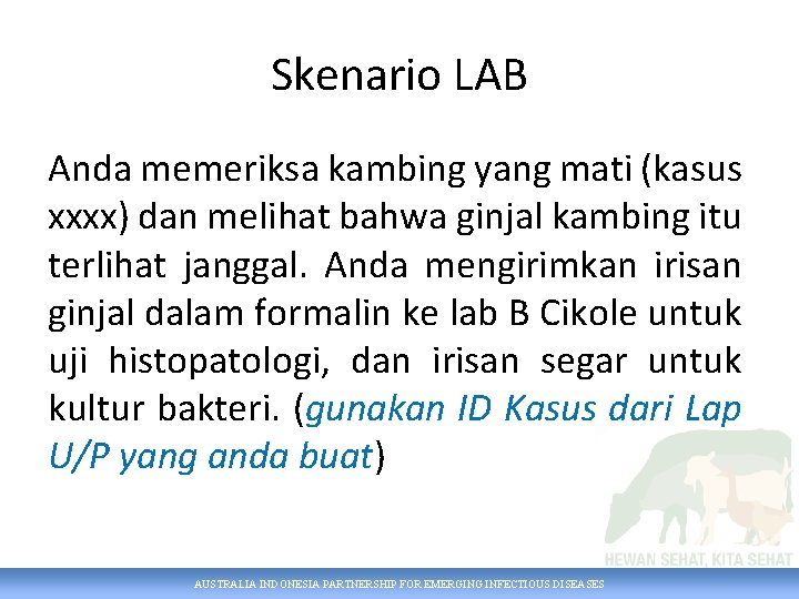 Skenario LAB Anda memeriksa kambing yang mati (kasus xxxx) dan melihat bahwa ginjal kambing