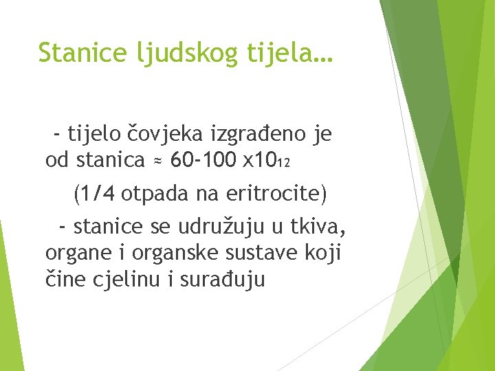 Stanice ljudskog tijela… - tijelo čovjeka izgrađeno je od stanica ≈ 60 -100 x