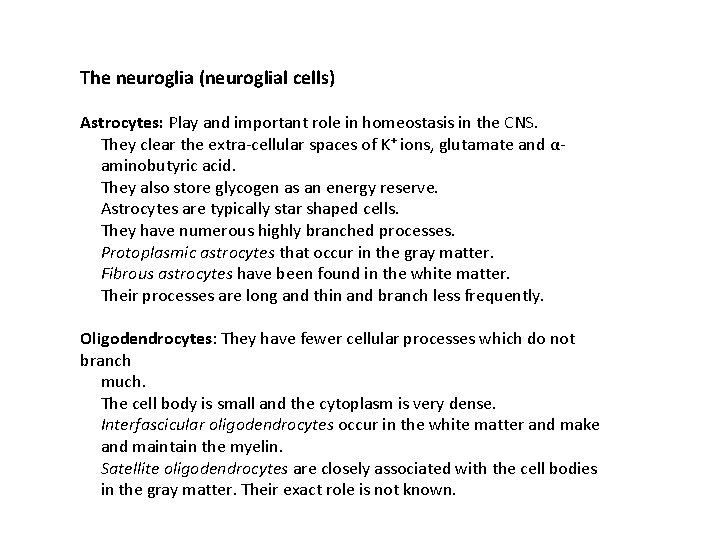 The neuroglia (neuroglial cells) Astrocytes: Play and important role in homeostasis in the CNS.