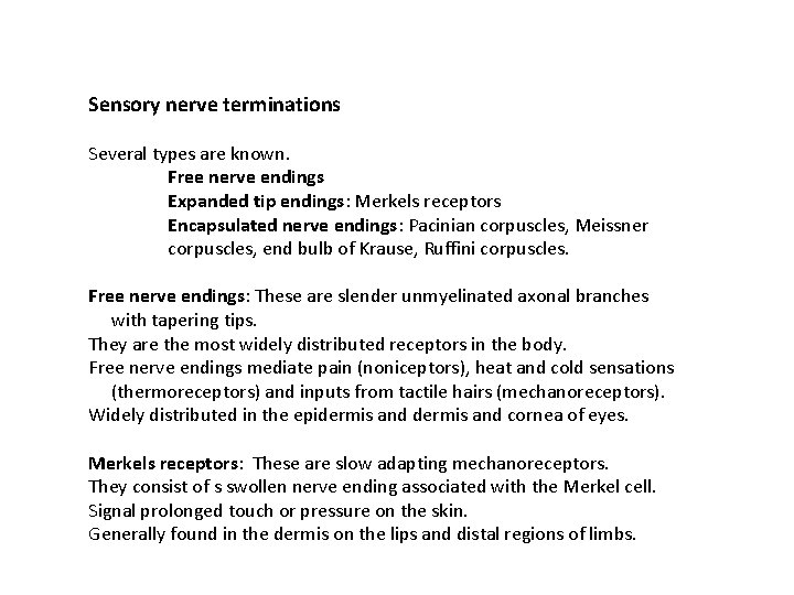 Sensory nerve terminations Several types are known. Free nerve endings Expanded tip endings: Merkels