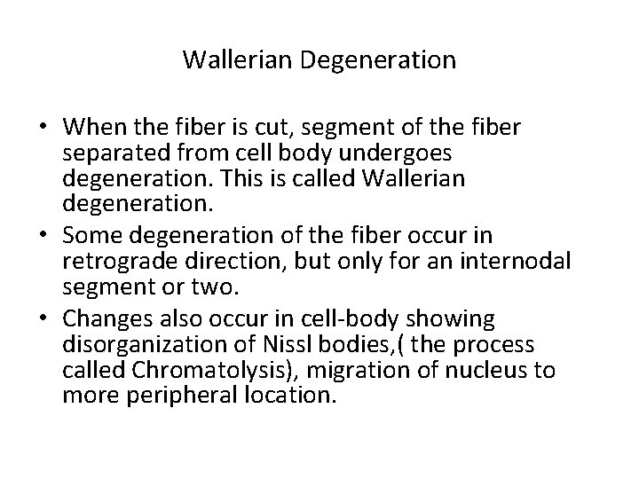 Wallerian Degeneration • When the fiber is cut, segment of the fiber separated from