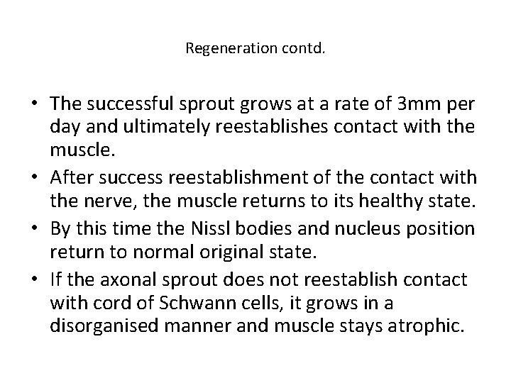 Regeneration contd. • The successful sprout grows at a rate of 3 mm per