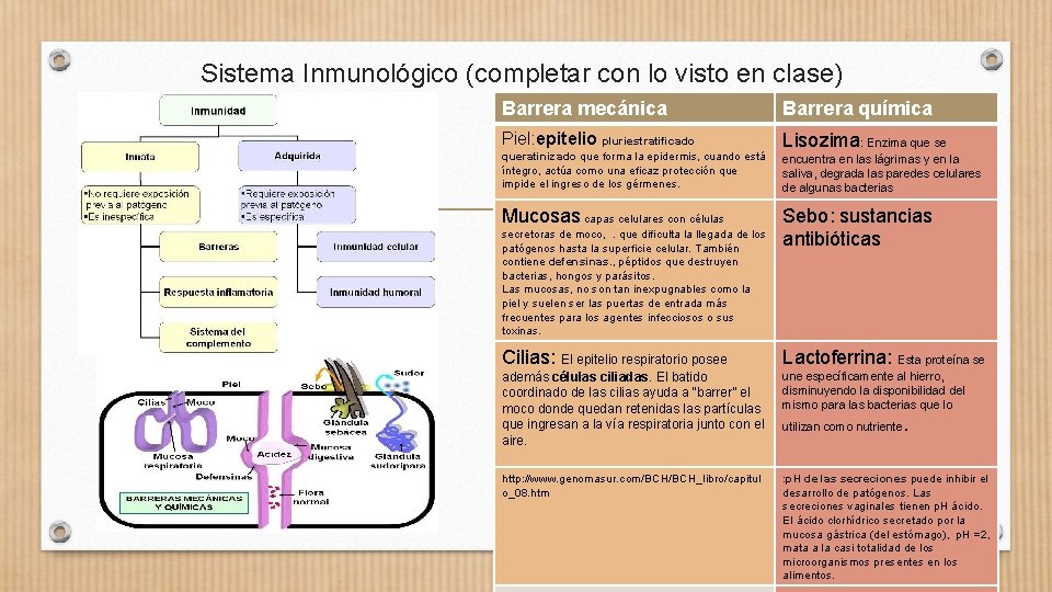 Sistema Inmunológico (completar con lo visto en clase) Barrera mecánica Barrera química Piel: epitelio
