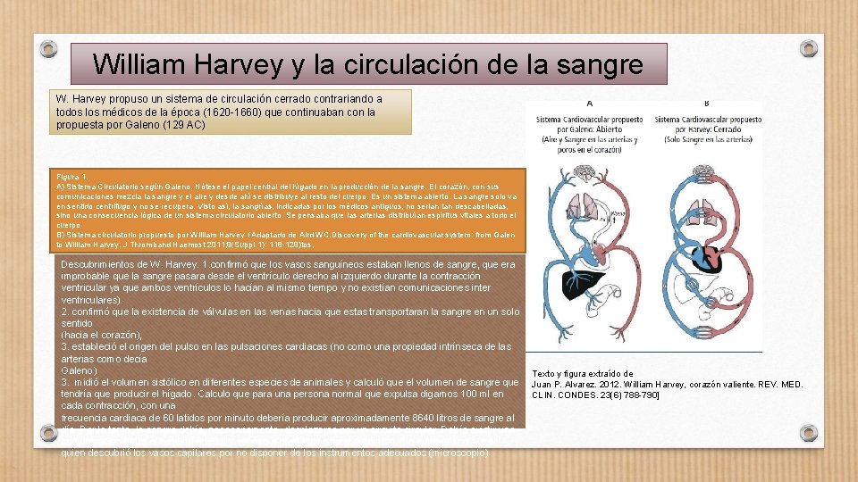 Sistema circulatorio William Harvey y la circulacin de