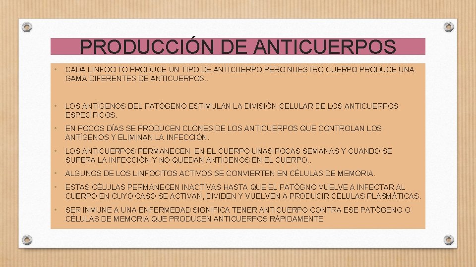 PRODUCCIÓN DE ANTICUERPOS • CADA LINFOCITO PRODUCE UN TIPO DE ANTICUERPO PERO NUESTRO CUERPO