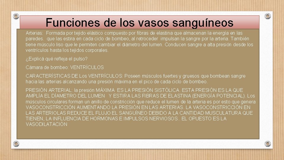 Funciones de los vasos sanguíneos • Arterias: Formada por tejido elástico compuesto por fibras