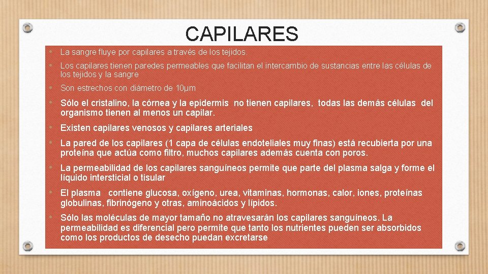 CAPILARES • La sangre fluye por capilares a través de los tejidos. • Los