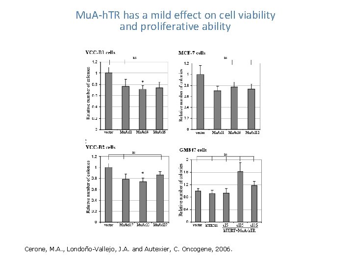 Mu. A-h. TR has a mild effect on cell viability and proliferative ability Cerone,