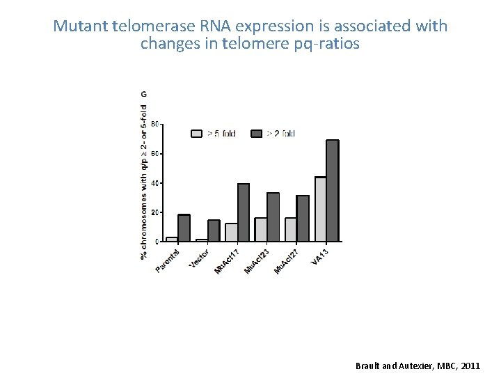 Mutant telomerase RNA expression is associated with changes in telomere pq-ratios Brault and Autexier,