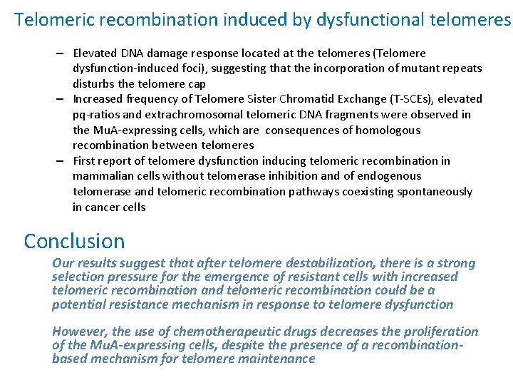 Telomeric recombination induced by dysfunctional telomeres – Elevated DNA damage response located at the