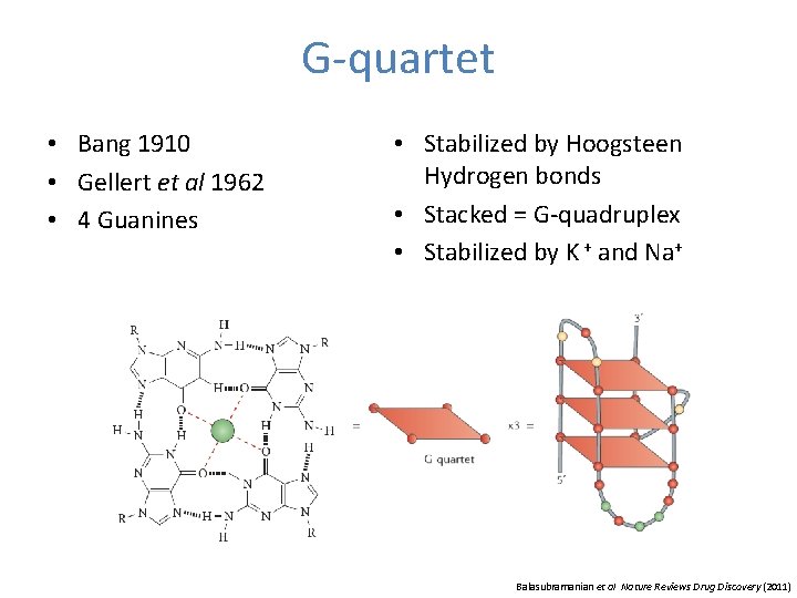 G-quartet • Bang 1910 • Gellert et al 1962 • 4 Guanines • Stabilized