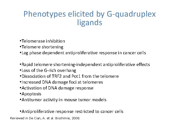 Phenotypes elicited by G-quadruplex ligands • Telomerase inhibition • Telomere shortening • Lag phase