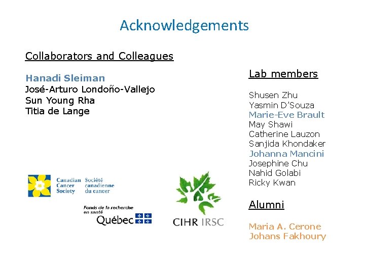 Acknowledgements Collaborators and Colleagues Hanadi Sleiman José-Arturo Londoño-Vallejo Sun Young Rha Titia de Lange