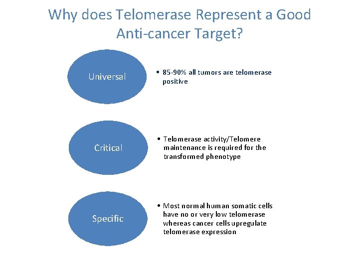 Why does Telomerase Represent a Good Anti-cancer Target? Universal • 85 -90% all tumors