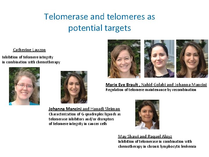 Telomerase and telomeres as potential targets Catherine Lauzon Inhibition of telomere integrity in combination