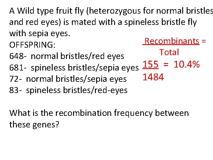 A Wild type fruit fly (heterozygous for normal bristles and red eyes) is mated