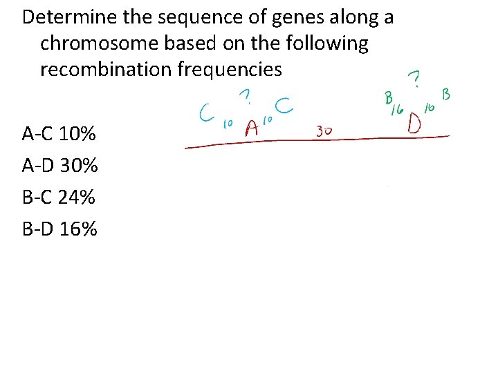 Determine the sequence of genes along a chromosome based on the following recombination frequencies