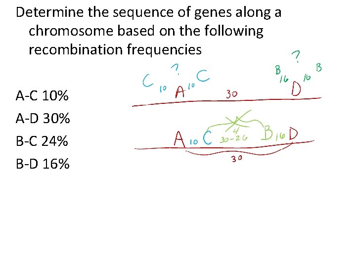 Determine the sequence of genes along a chromosome based on the following recombination frequencies