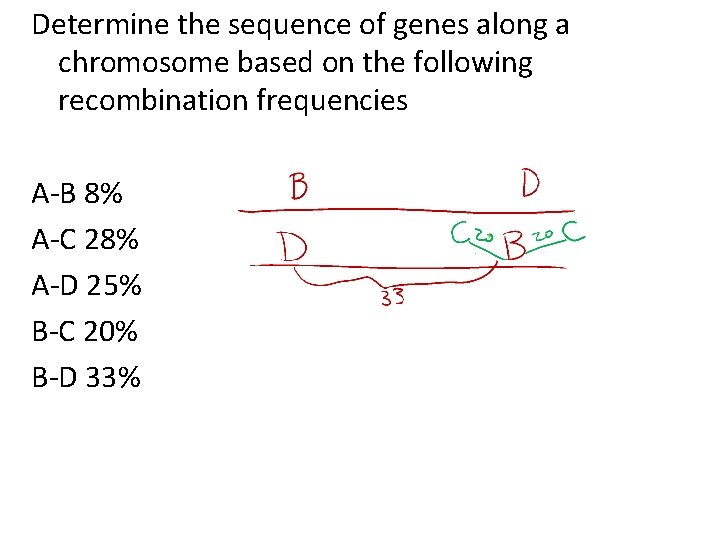 Determine the sequence of genes along a chromosome based on the following recombination frequencies