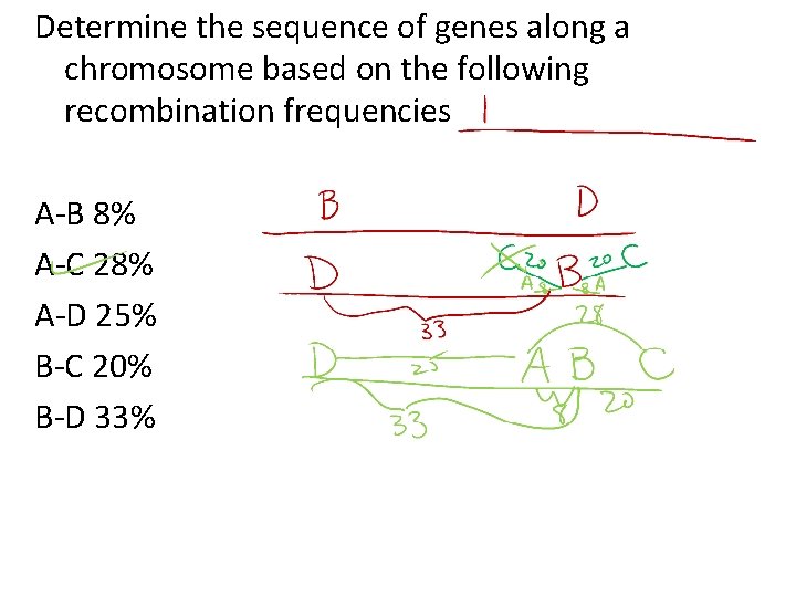 Determine the sequence of genes along a chromosome based on the following recombination frequencies