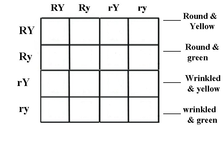 RY RY Ry r. Y ry ____ Round & Yellow Ry ____ Round &