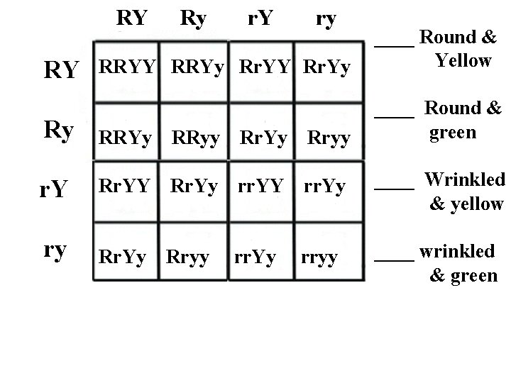 RY Ry r. Y ry RRYY RRYy Rr. YY Rr. Yy ____ Round &