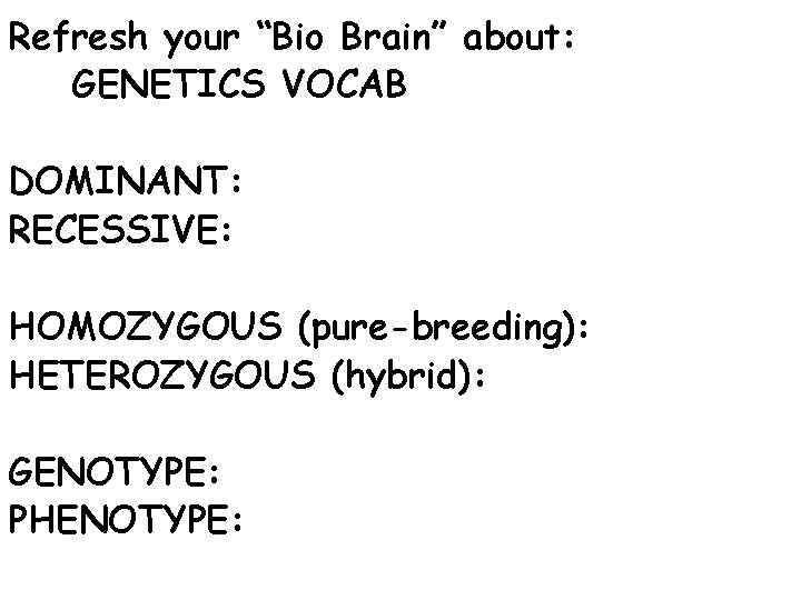 Refresh your “Bio Brain” about: GENETICS VOCAB DOMINANT: RECESSIVE: HOMOZYGOUS (pure-breeding): HETEROZYGOUS (hybrid): GENOTYPE: