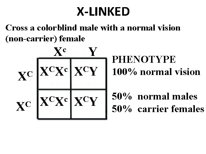 X-LINKED Cross a colorblind male with a normal vision (non-carrier) female XC XC c