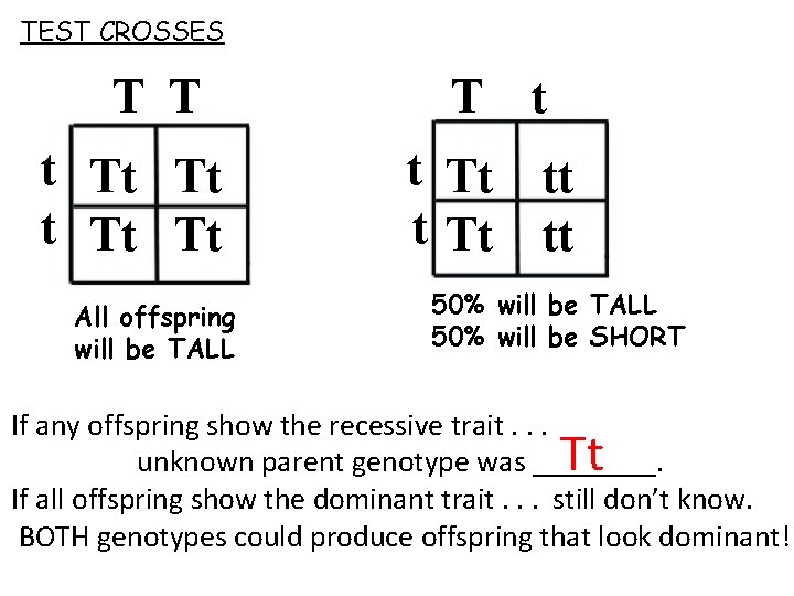 TEST CROSSES T T t Tt Tt All offspring will be TALL T t