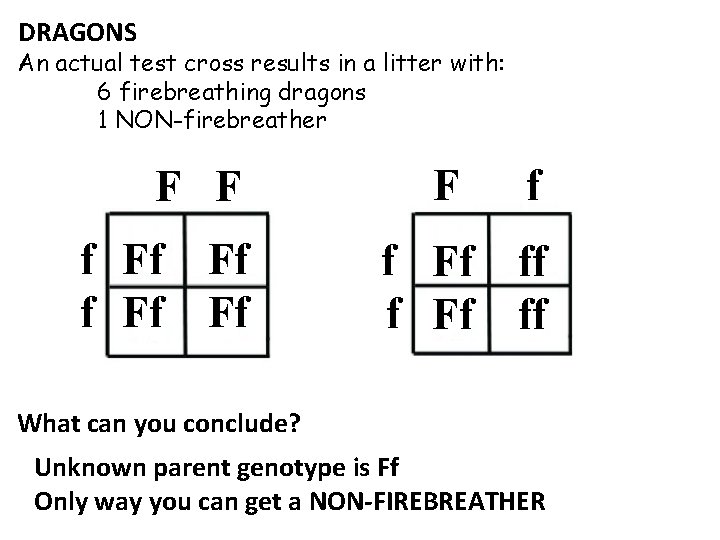 DRAGONS An actual test cross results in a litter with: 6 firebreathing dragons 1