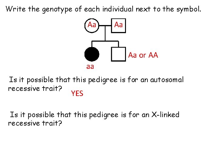 Write the genotype of each individual next to the symbol. Aa Aa Aa or